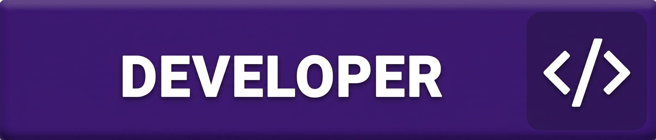 developer developer